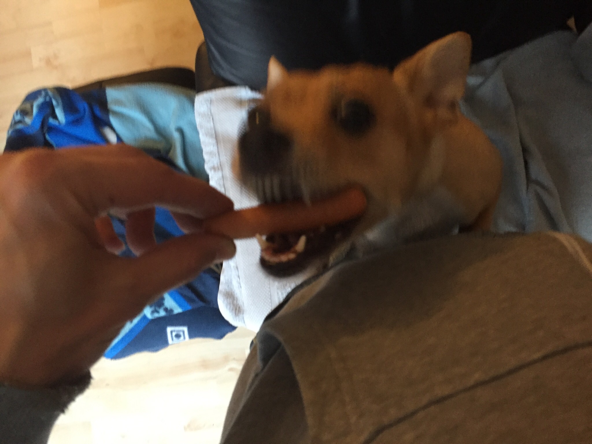 image.jpg