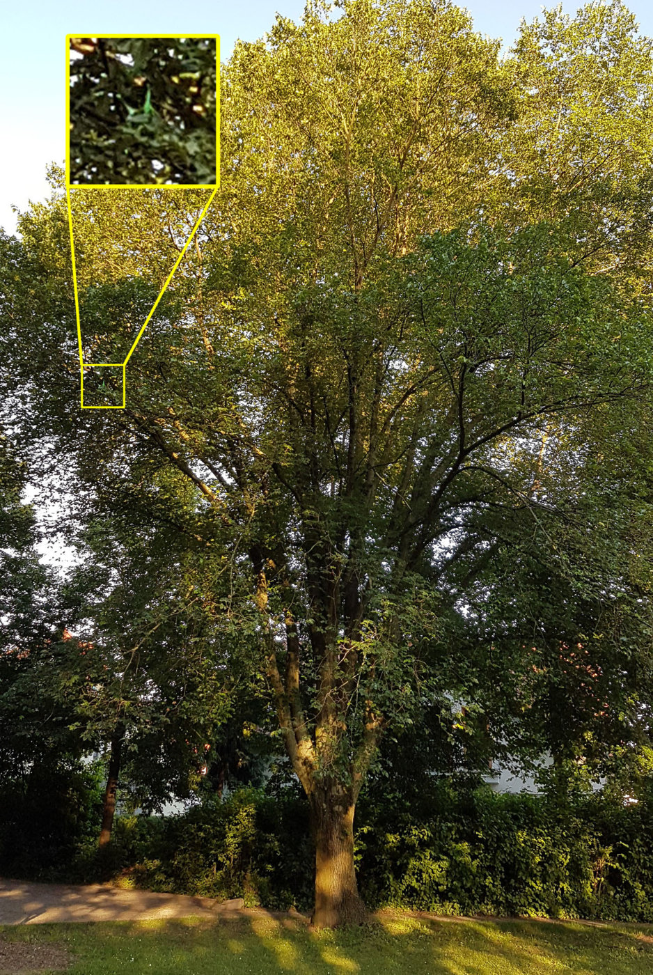 image4144.jpg