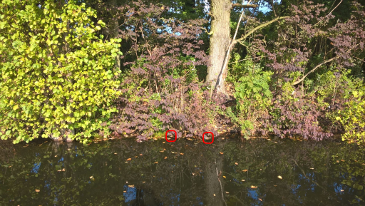 image4179.png