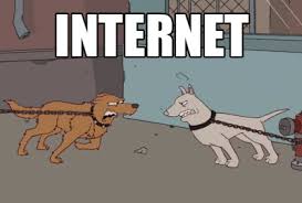 images.jpeg
