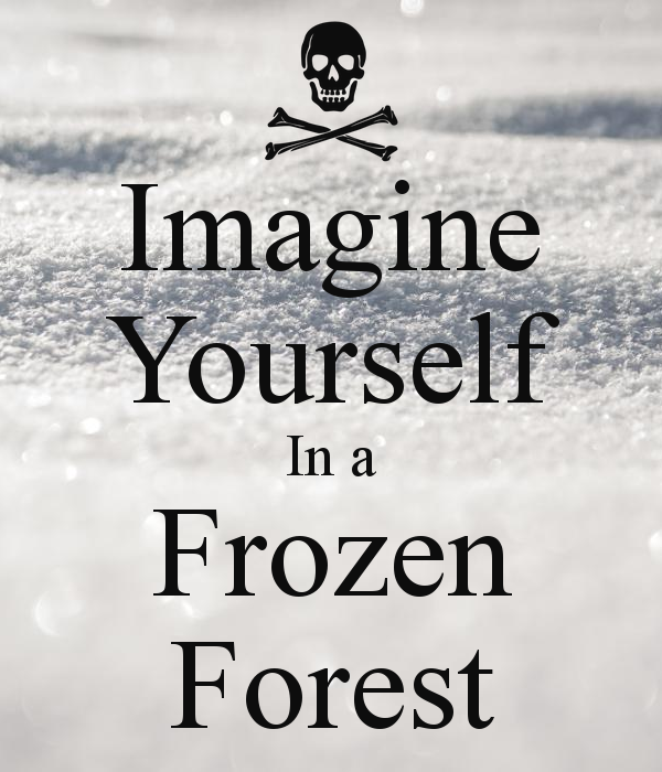 imagine-yourself-in-a-frozen-forest.png