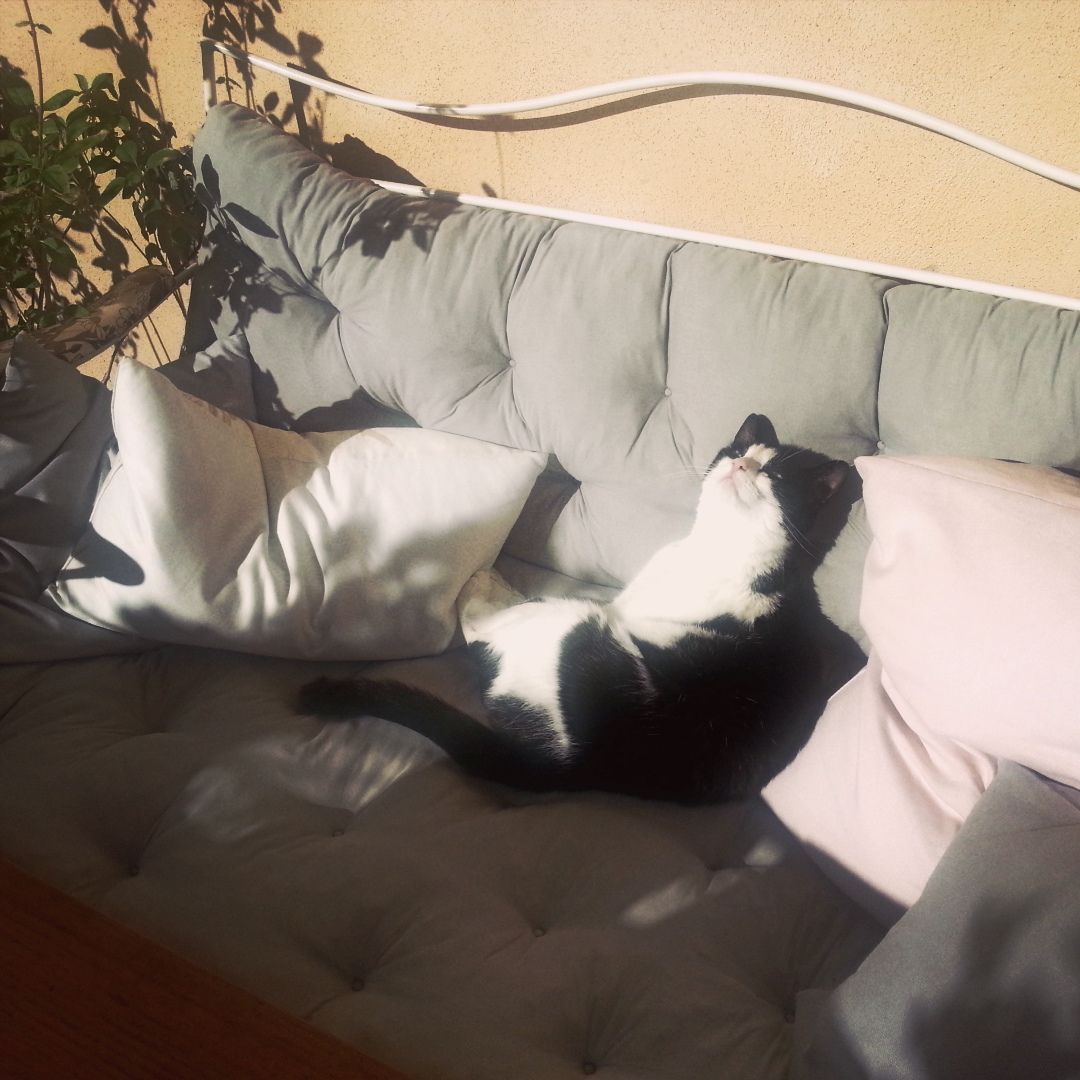 IMG-20150926-WA0004.jpg