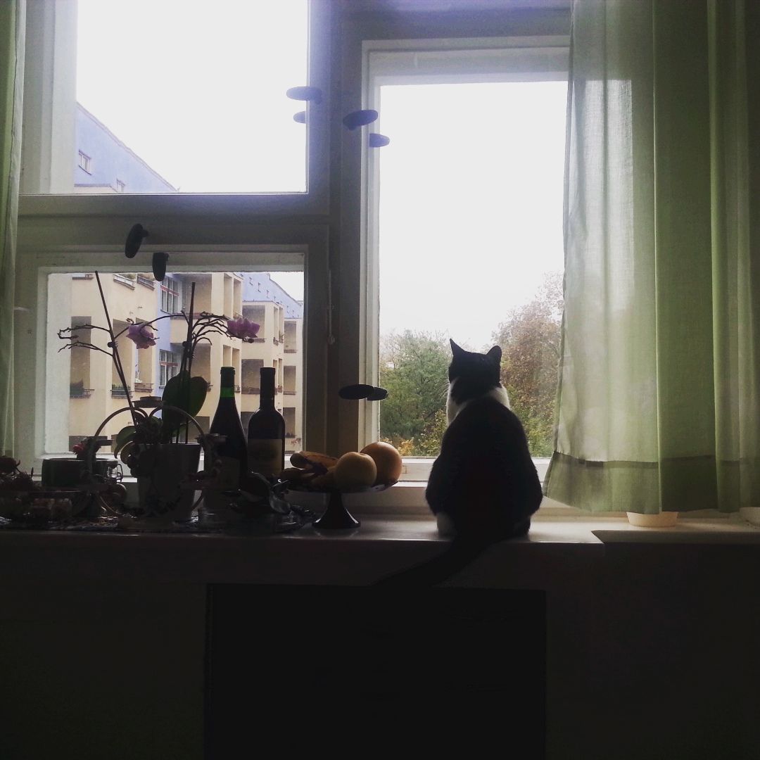 IMG-20151017-WA0001.jpg