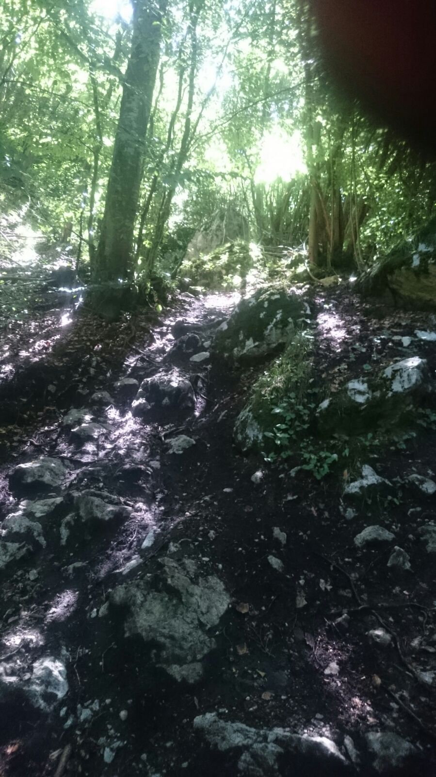 IMG-20160829-WA0002.jpg