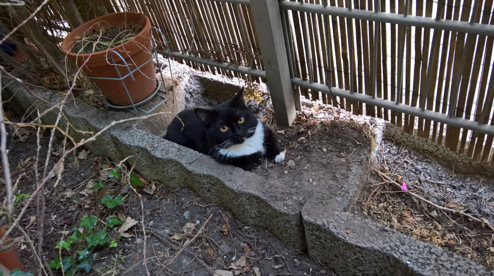 IMG-20170601-WA0001.jpg