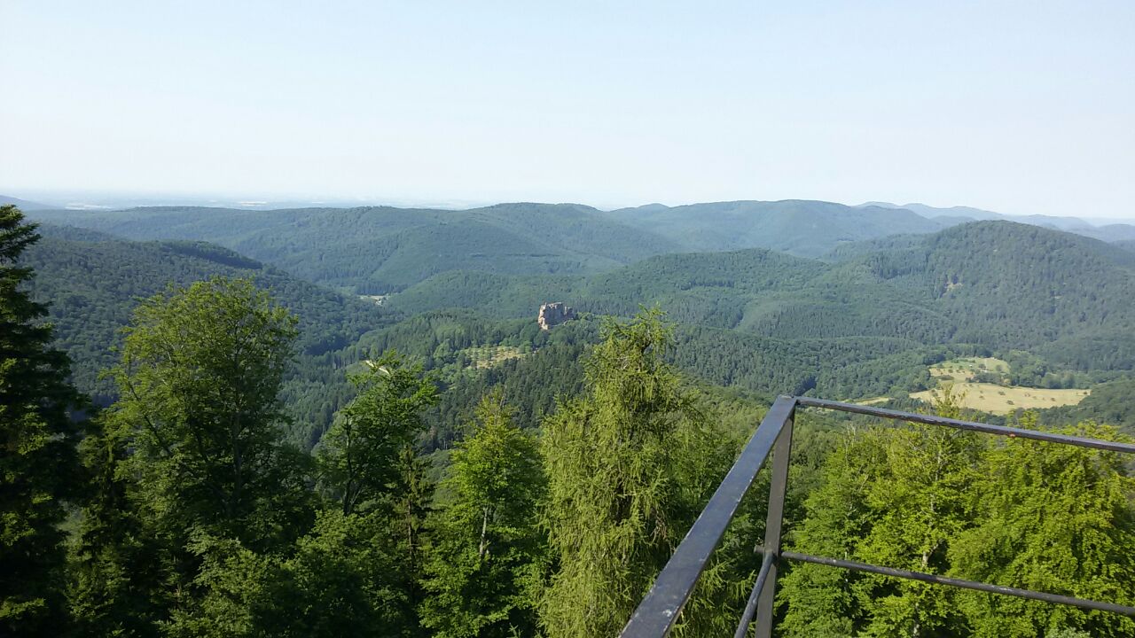 IMG-20170710-WA0038.jpg