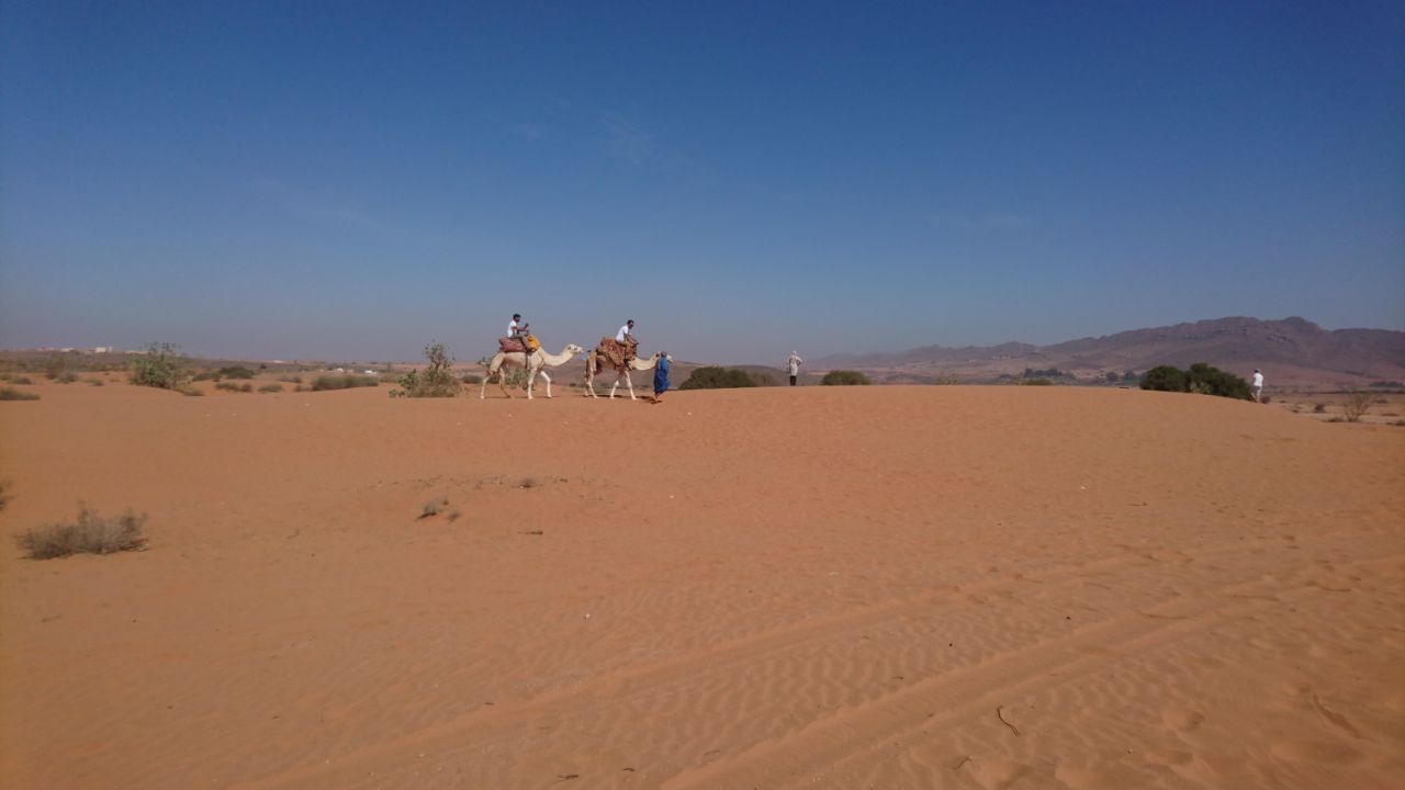 IMG-20171021-WA0047.jpg