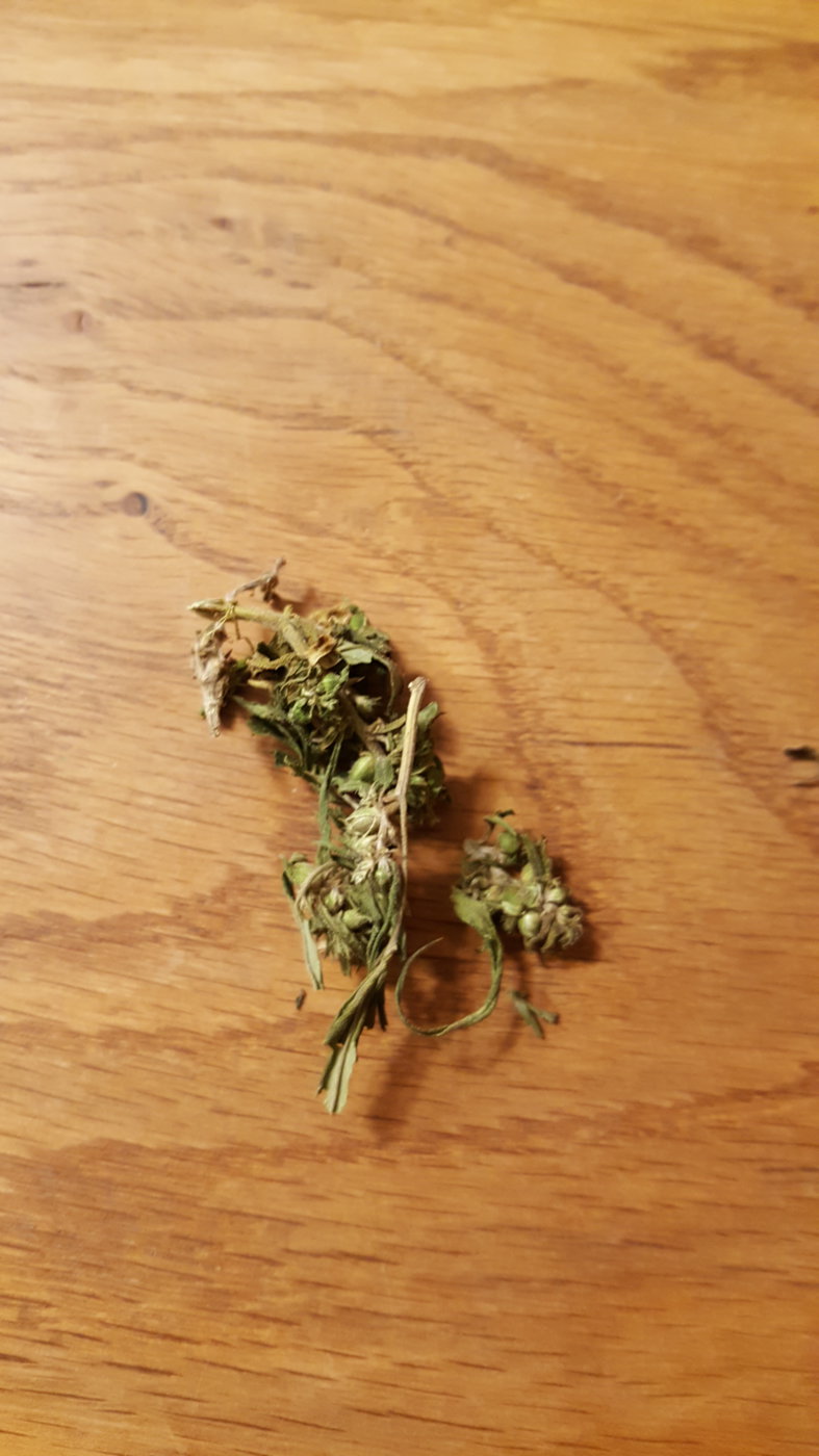 IMG-20180105-WA0041.jpeg