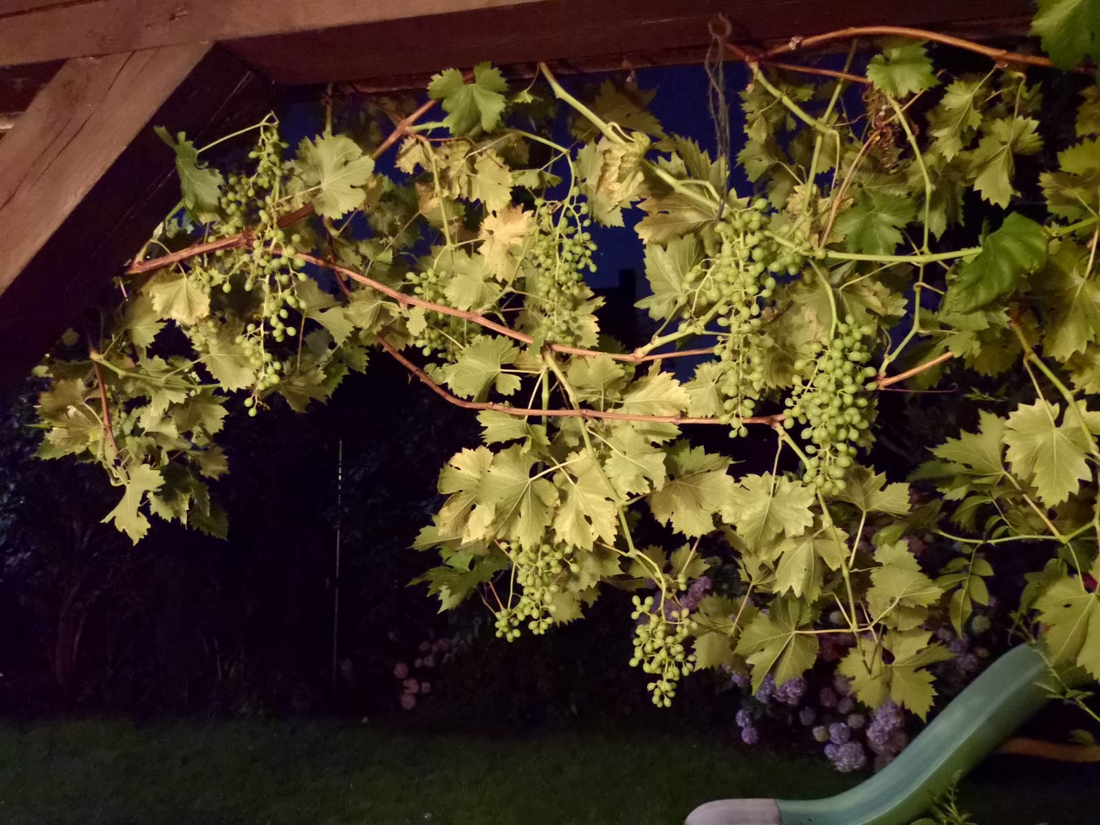 IMG-20180629-WA0013.jpg