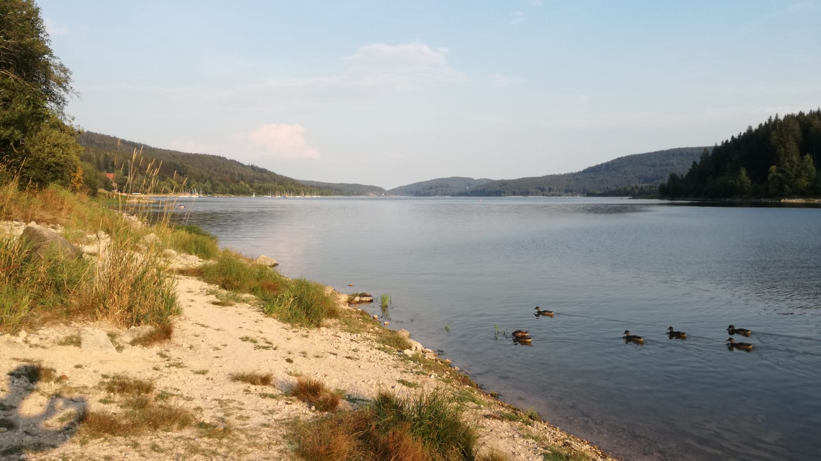 IMG-20180805-WA0005.jpg