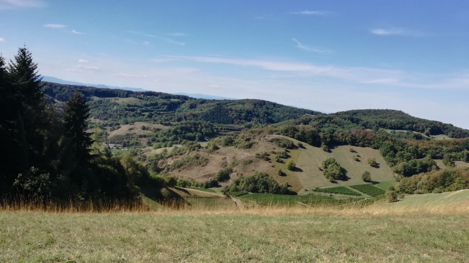 IMG-20180908-WA0007.jpg