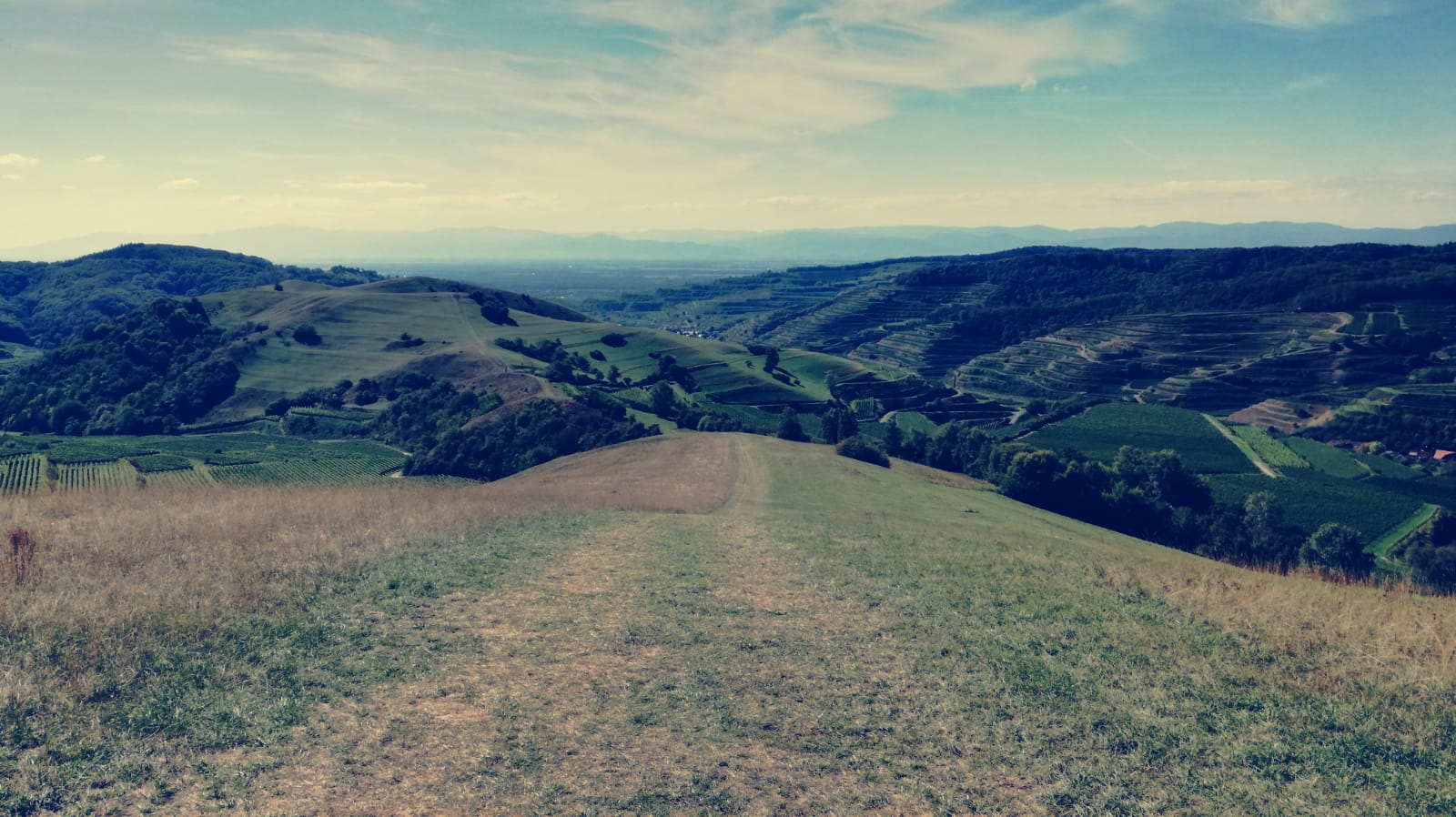 IMG-20180908-WA0008.jpg