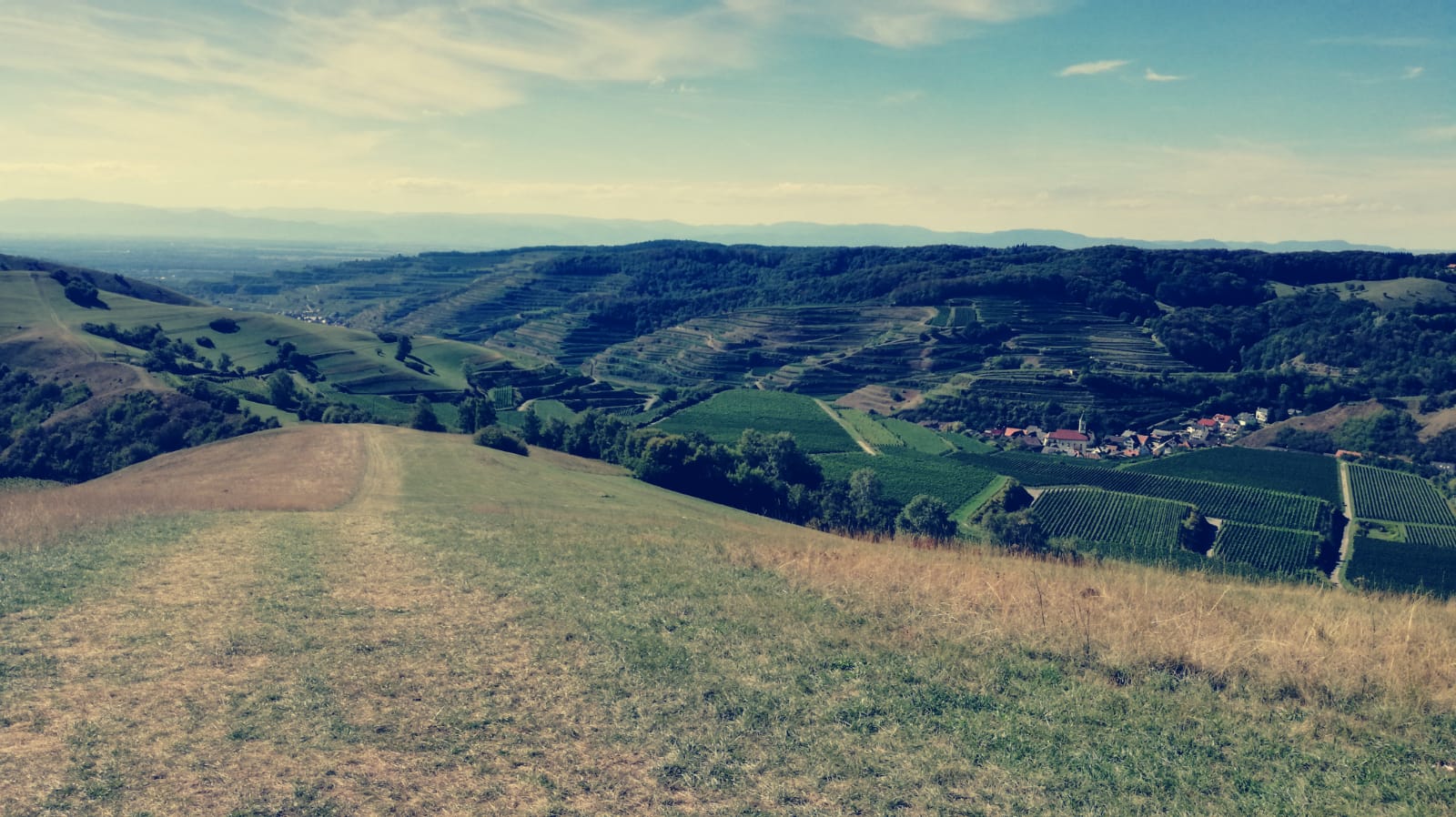 IMG-20180908-WA0009.jpg