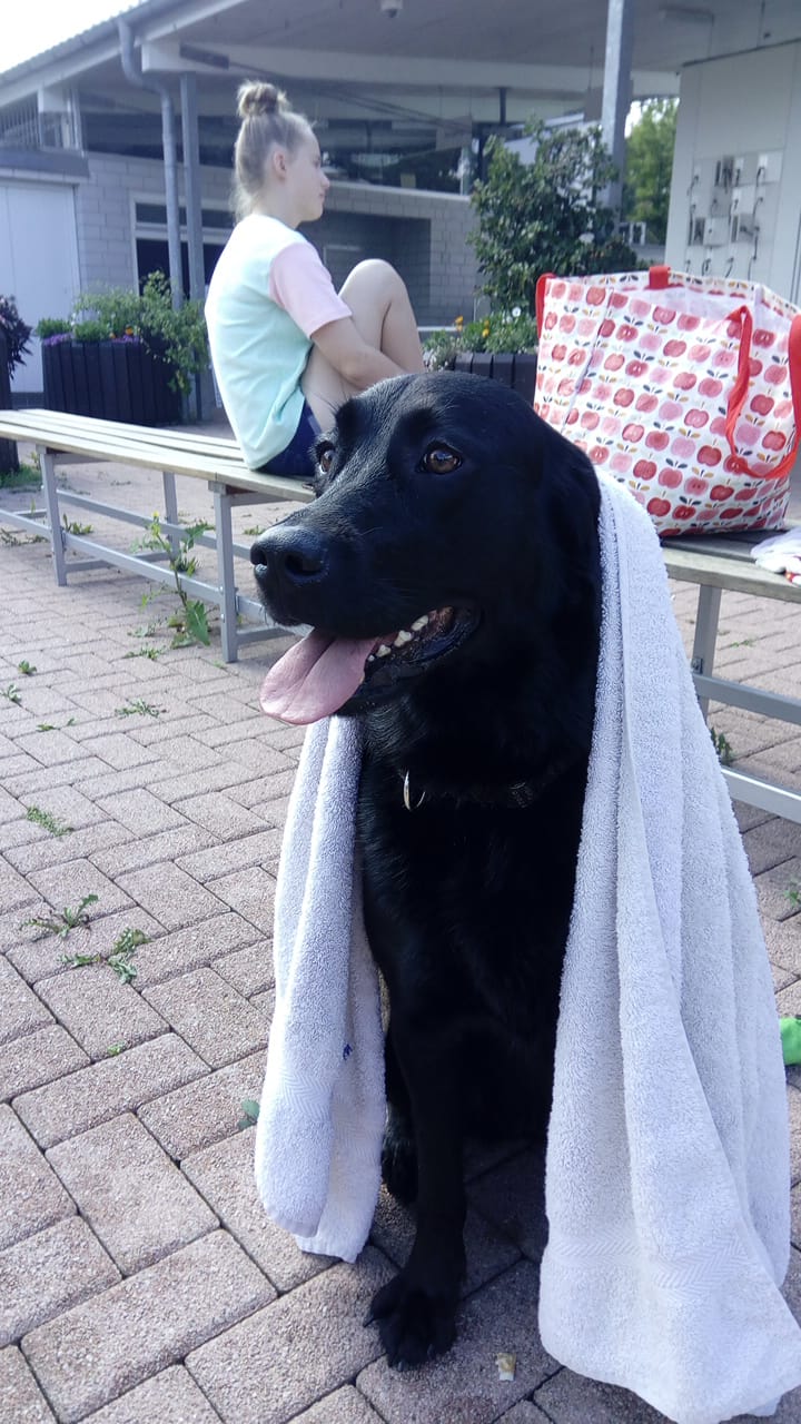 IMG-20180915-WA0005.jpg