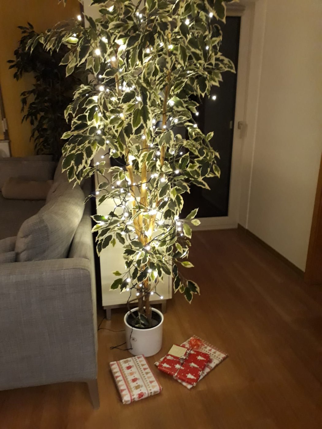 IMG-20181227-WA0013.jpg