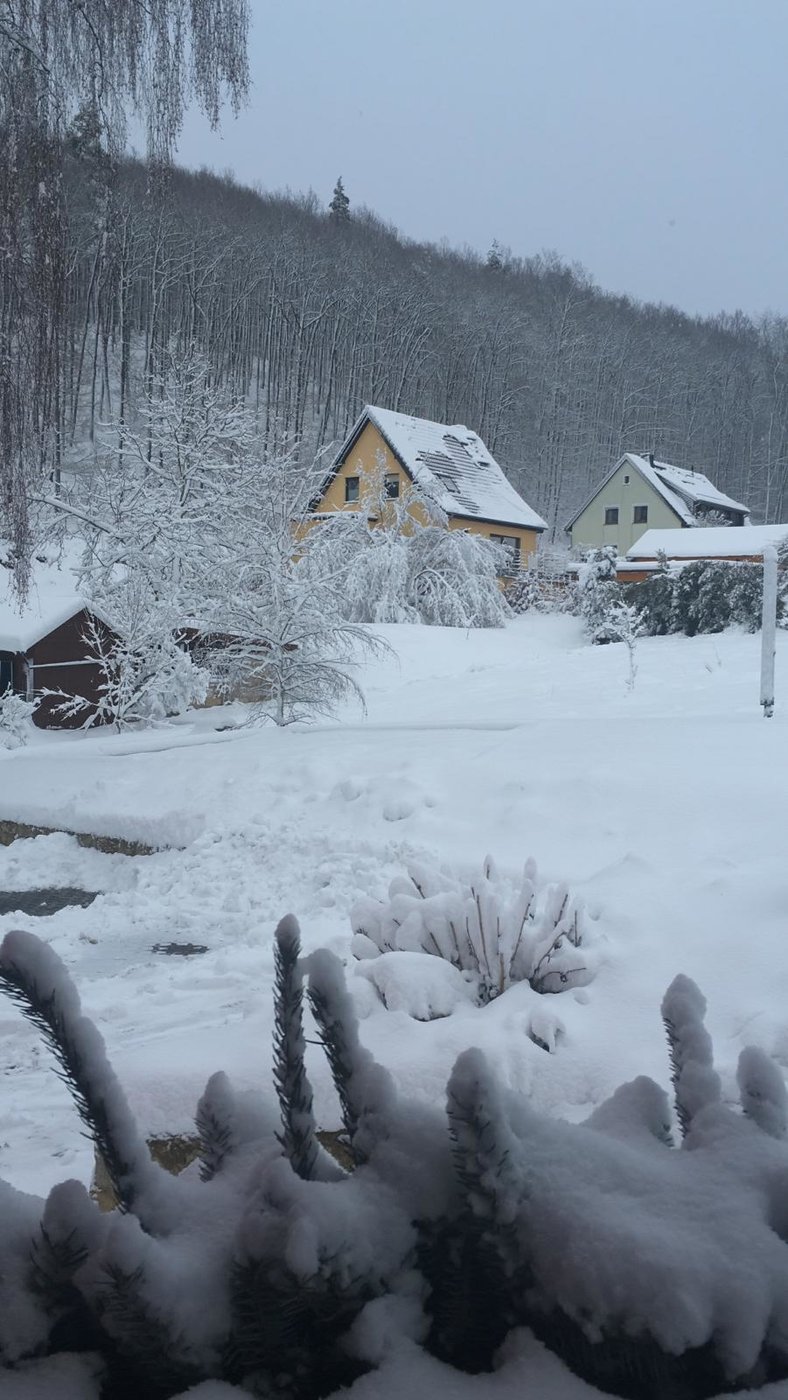 IMG-20190111-WA0000.jpg