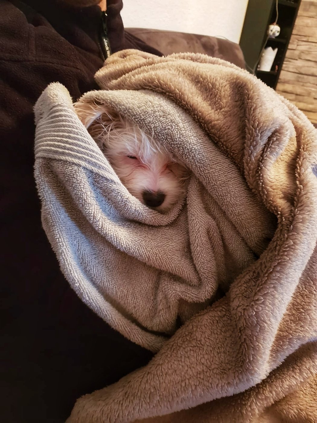 IMG-20190128-WA0008-01.jpeg