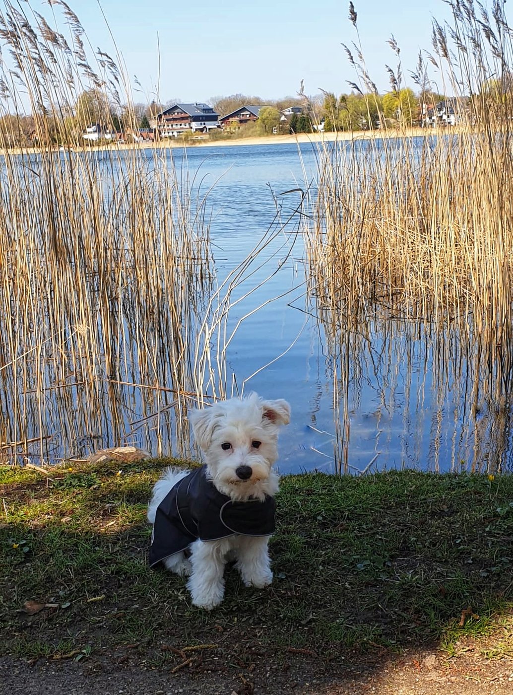 IMG-20190416-WA0015-02.jpeg