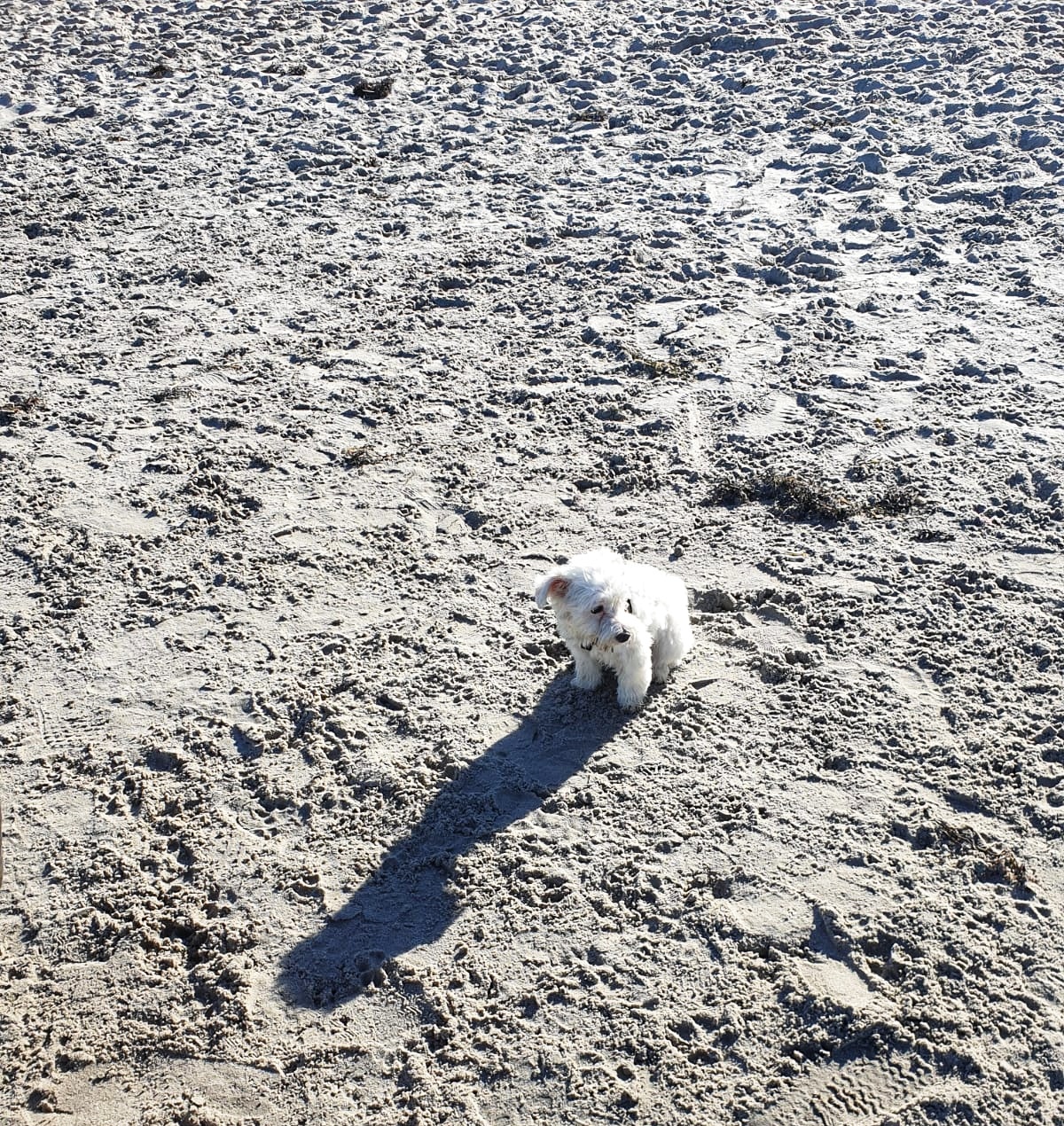 IMG-20190420-WA0001-01.jpeg