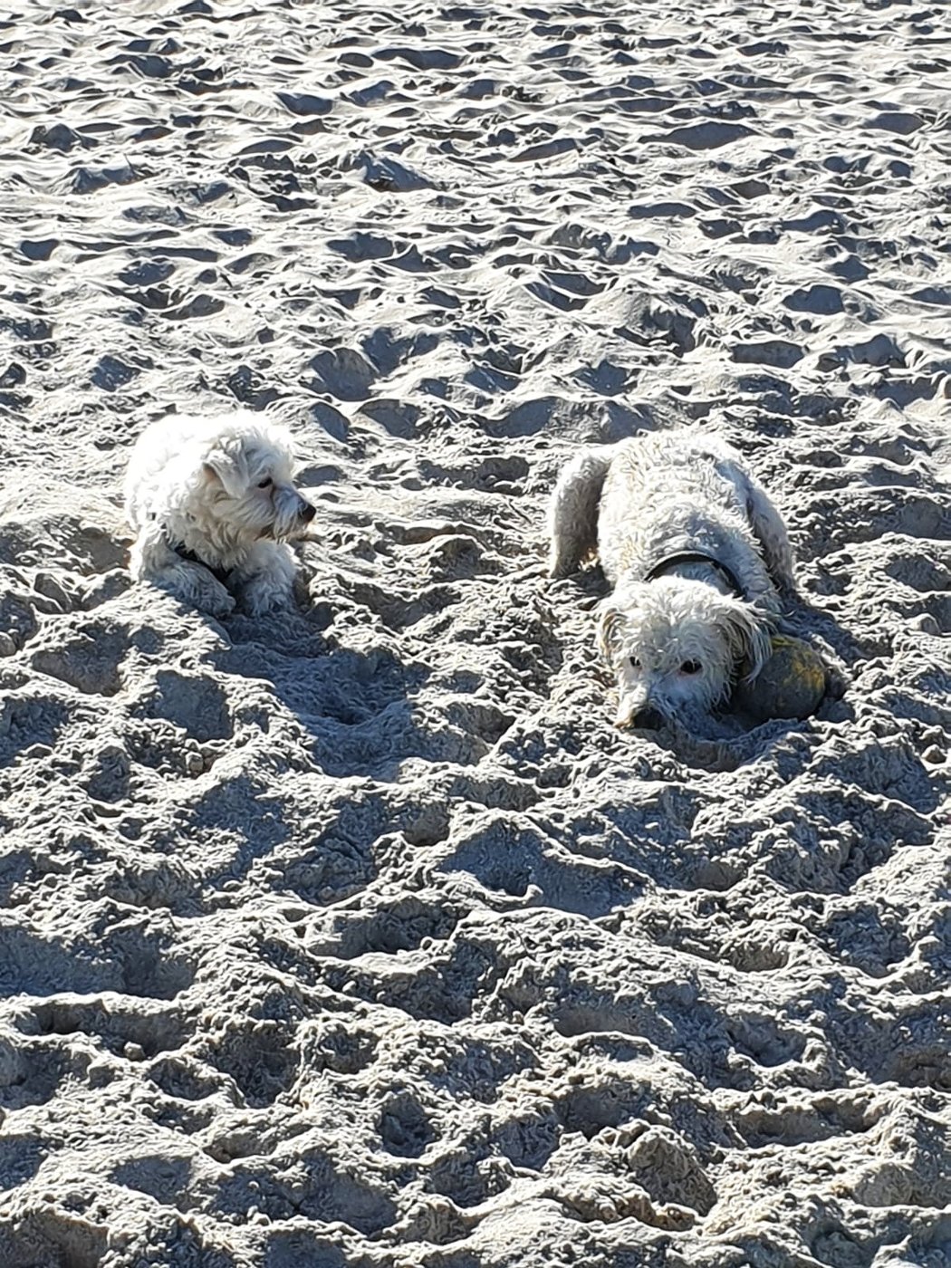 IMG-20190420-WA0024-01.jpeg