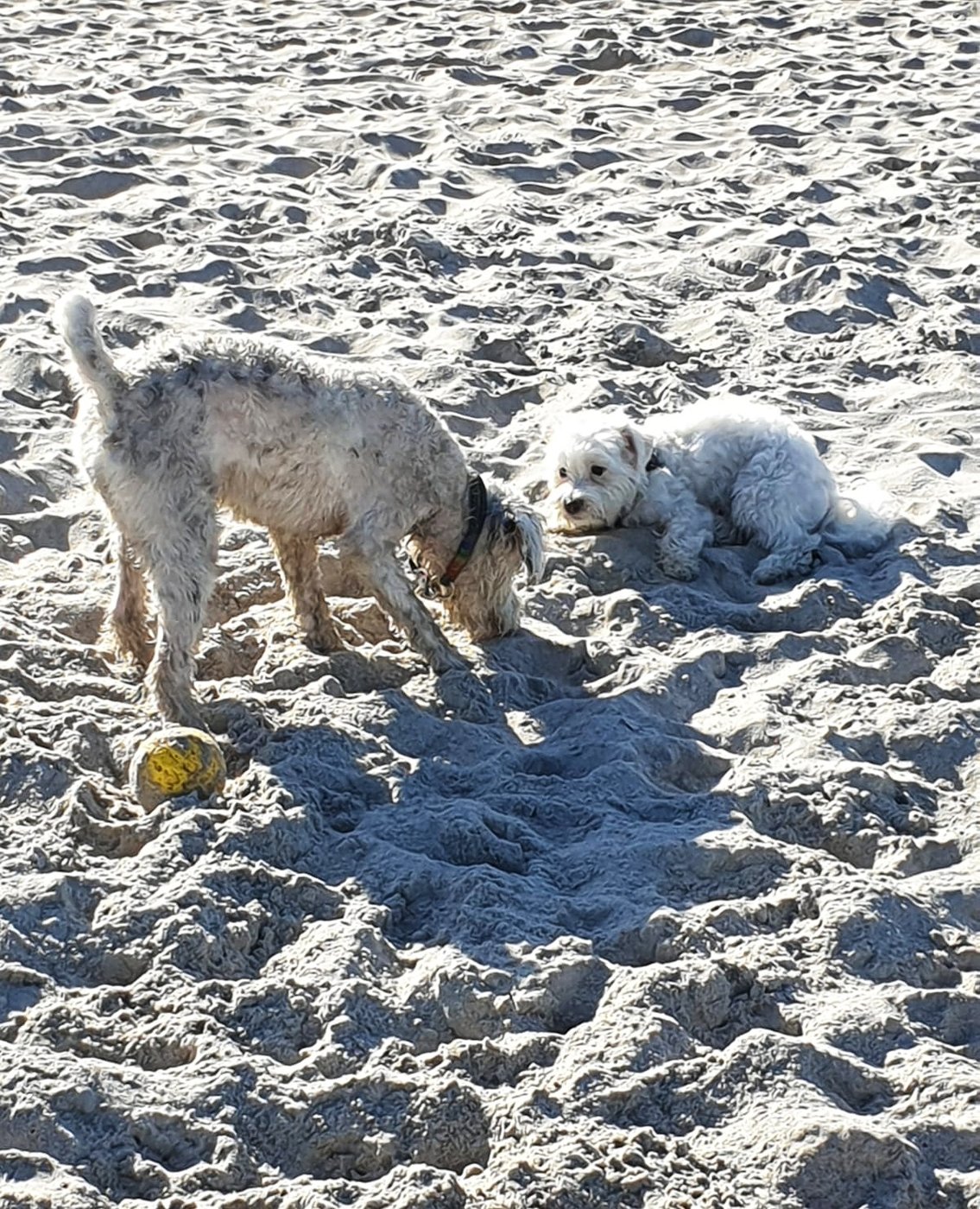 IMG-20190420-WA0025-01.jpeg