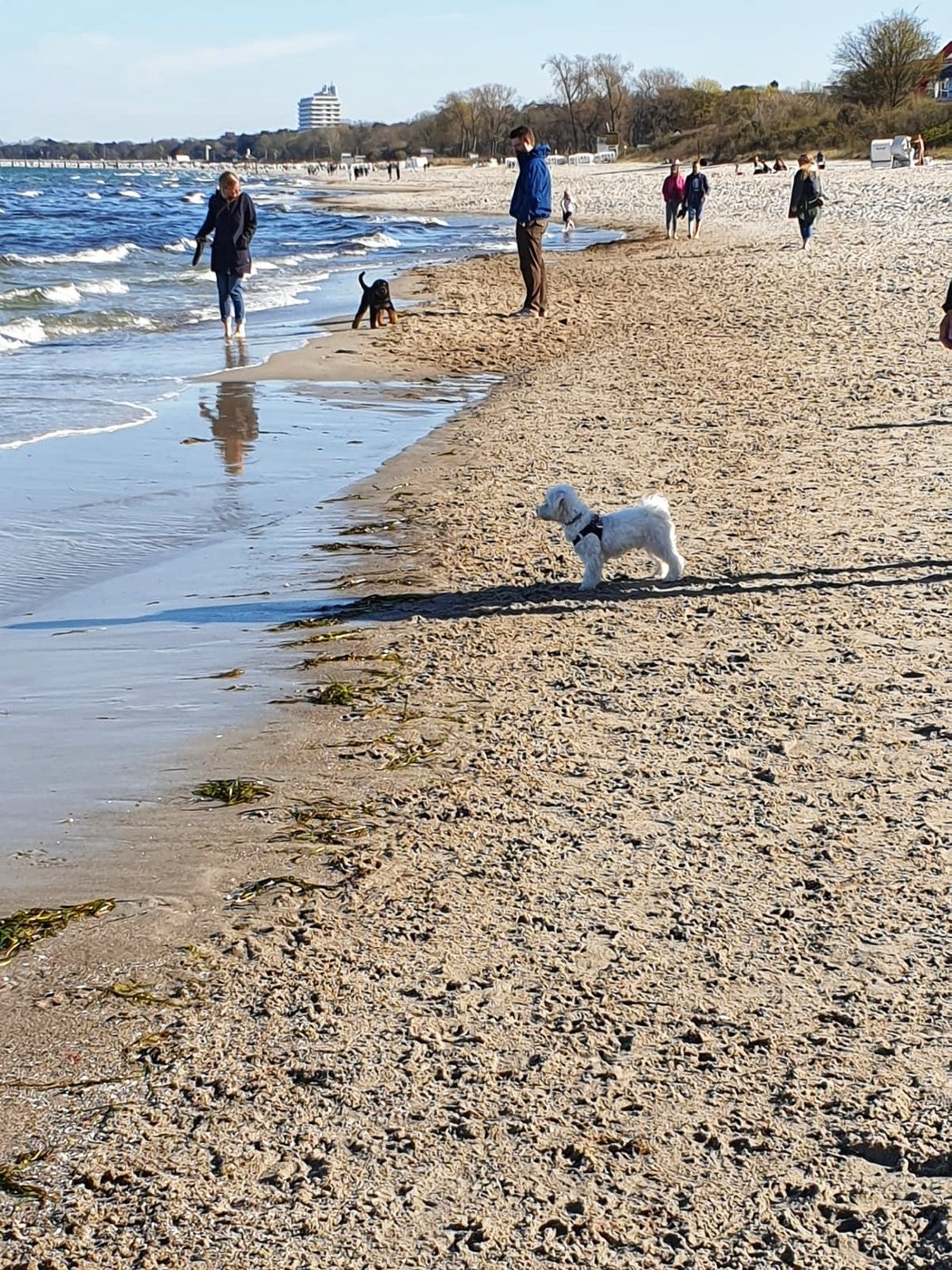 IMG-20190420-WA0026-01.jpeg
