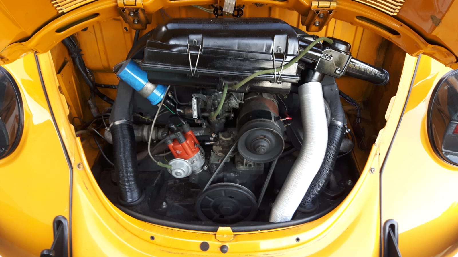 IMG-20190624-WA0011.jpg