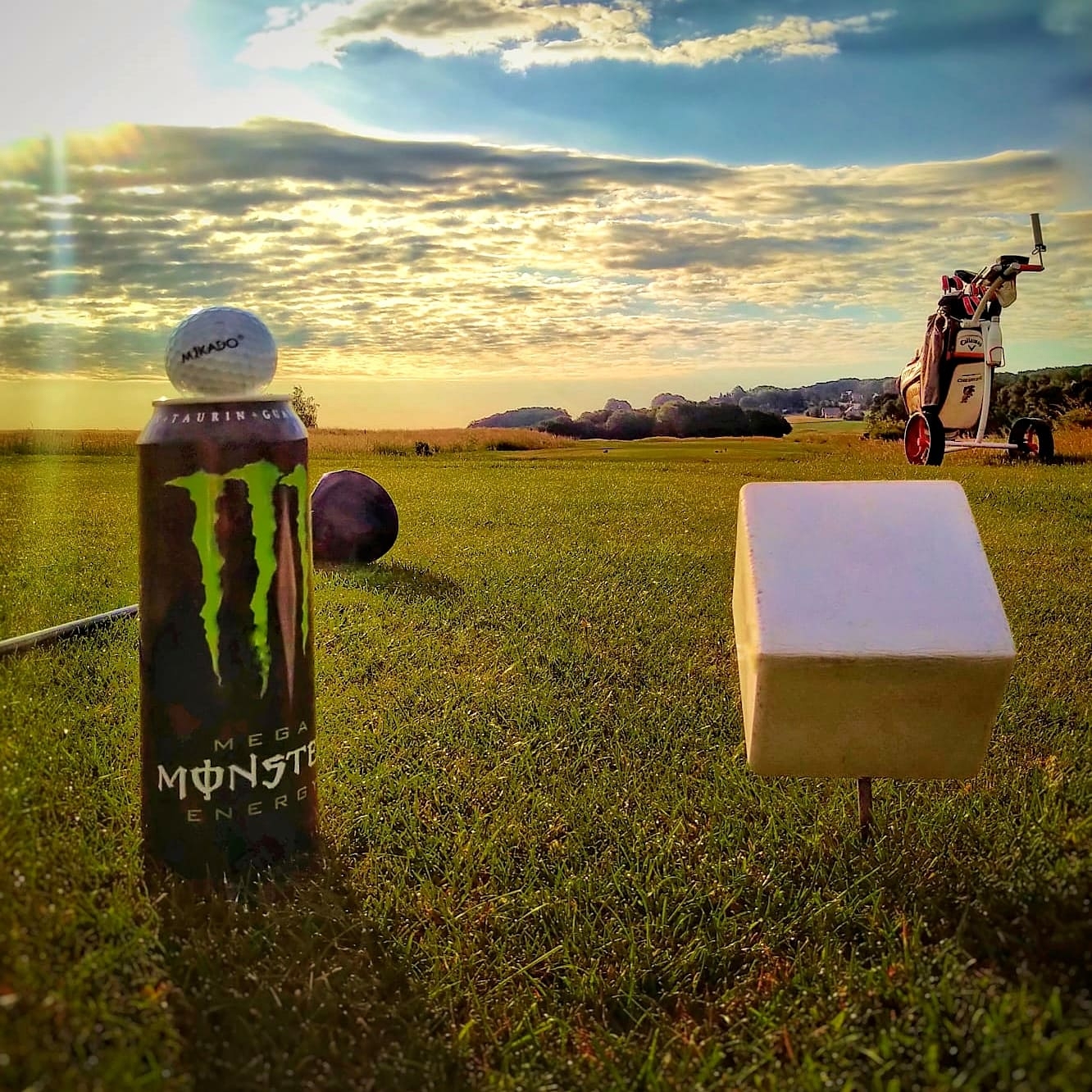IMG-20231012-WA0006-01.jpeg