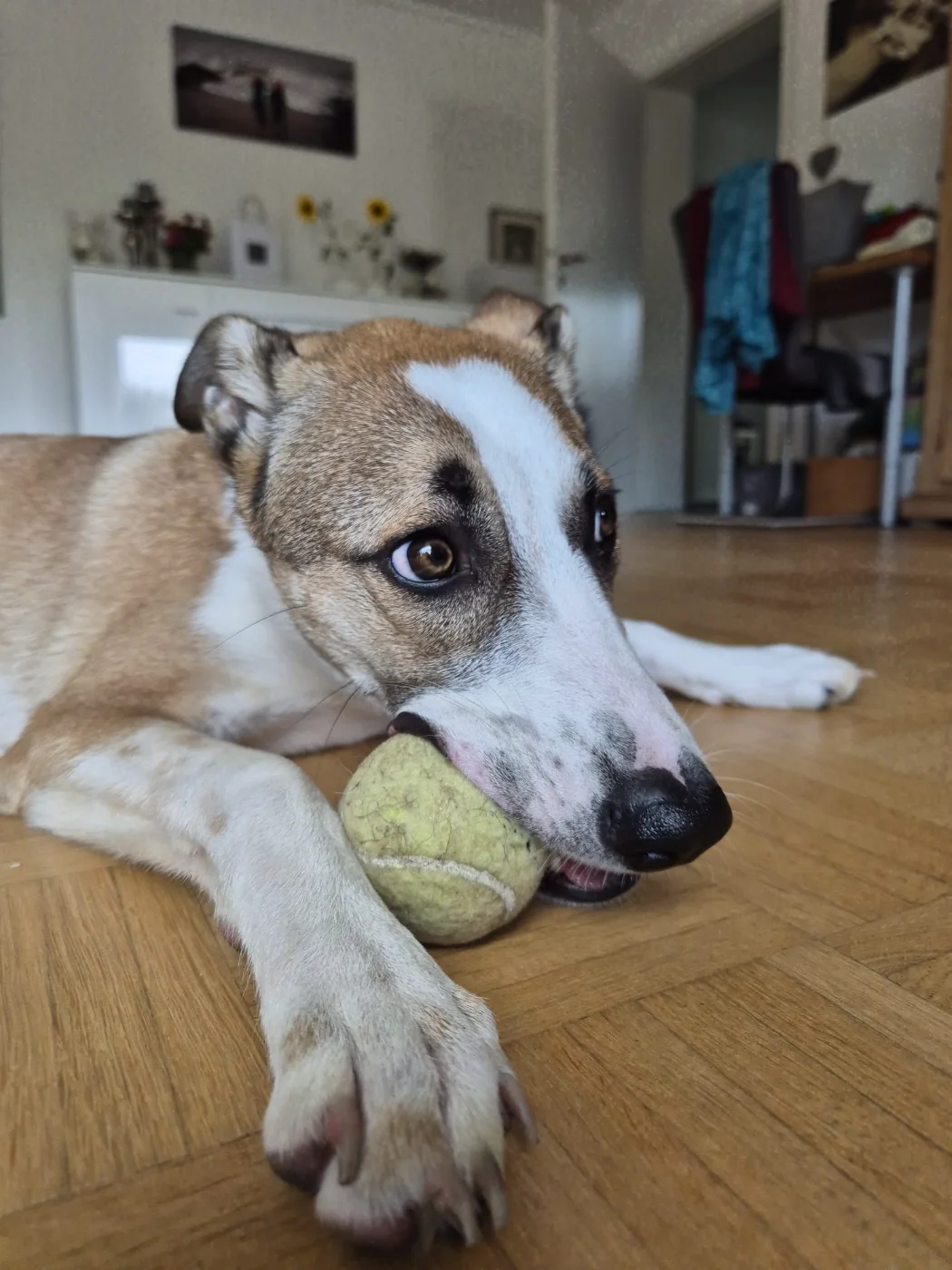 IMG-20250913-WA0006.webp