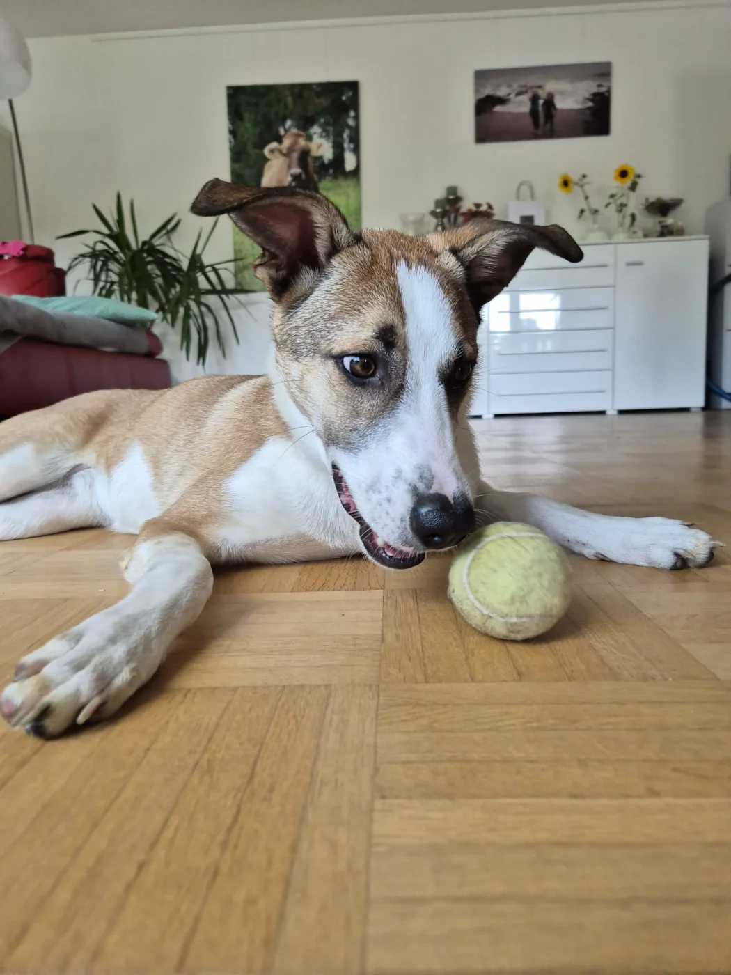 IMG-20250913-WA0008.webp
