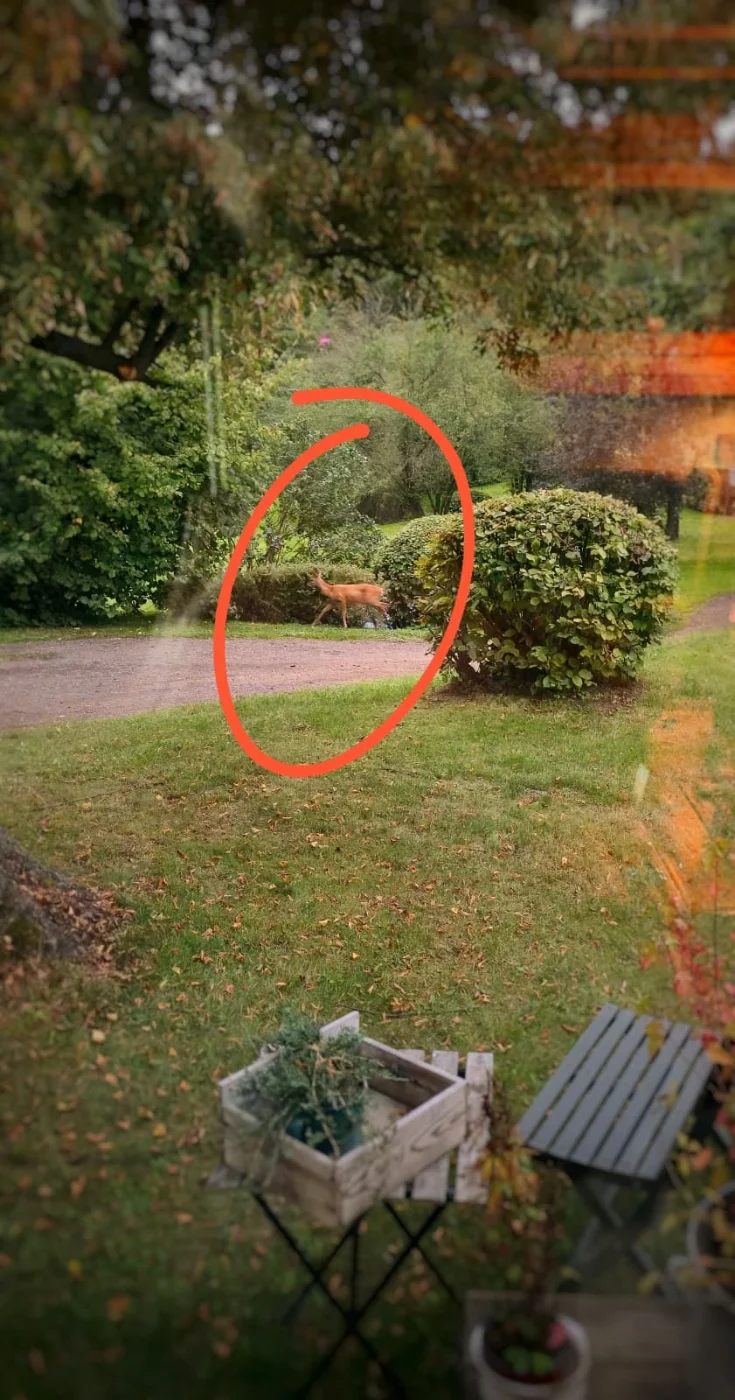 IMG-20251001-WA0018.webp