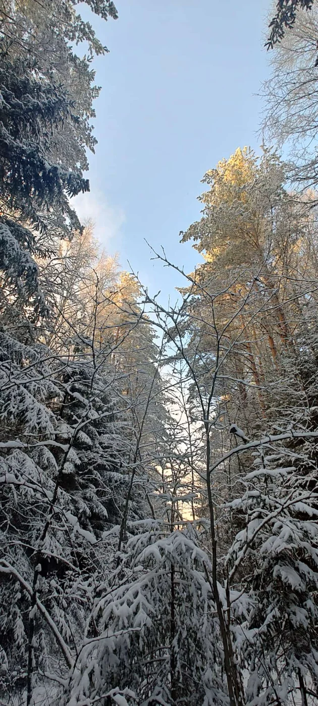 IMG-20251120-WA0025.webp