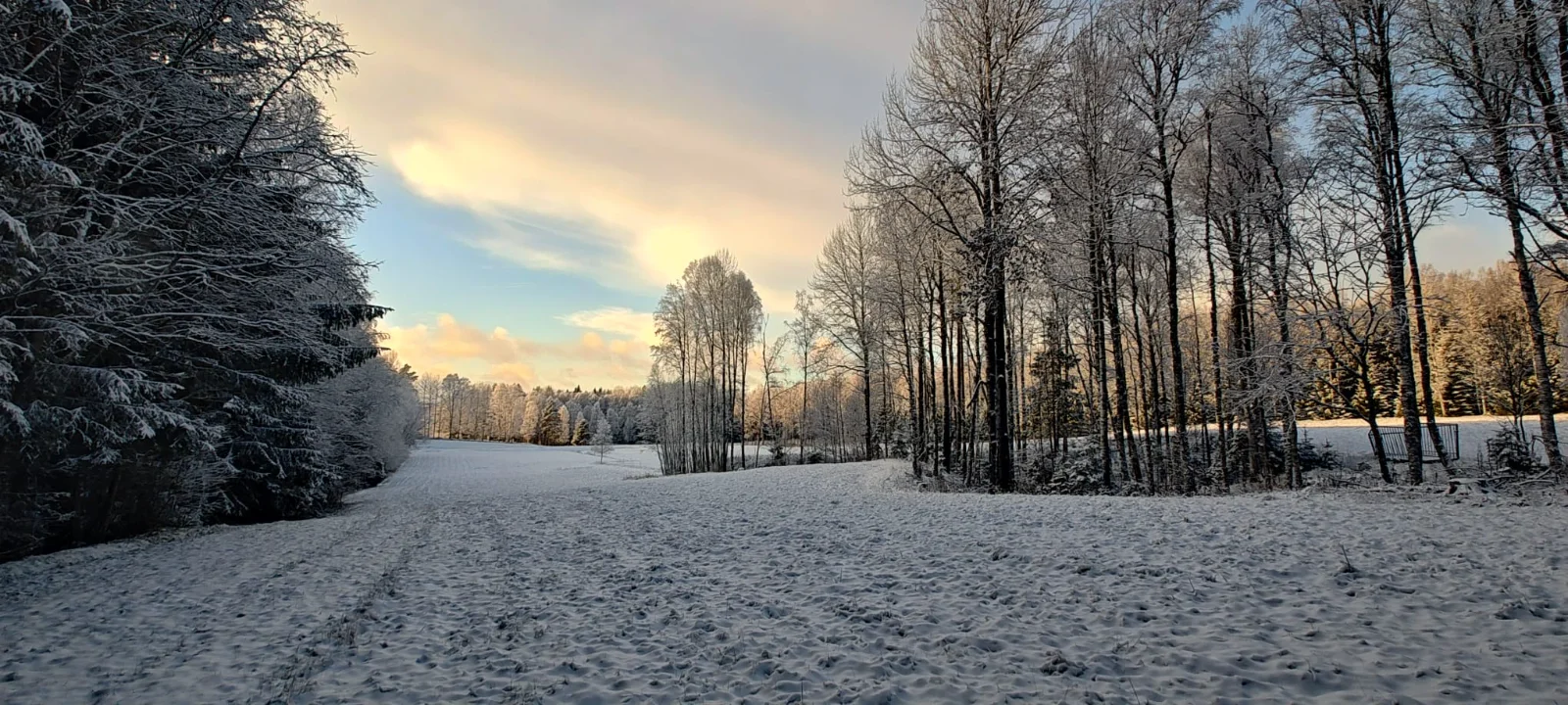 IMG-20251120-WA0028.webp
