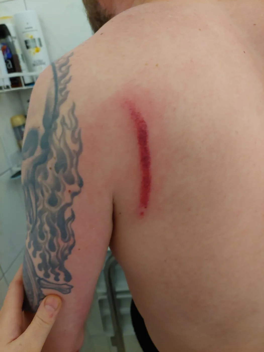 IMG-20260312-WA0002.webp