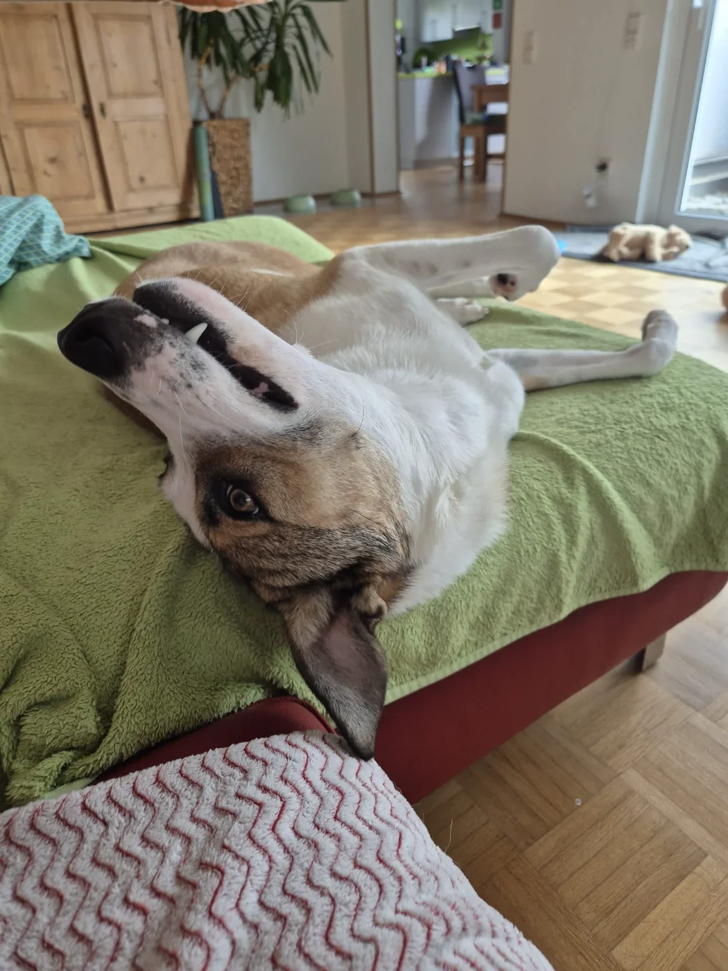 IMG-20260401-WA0004.webp