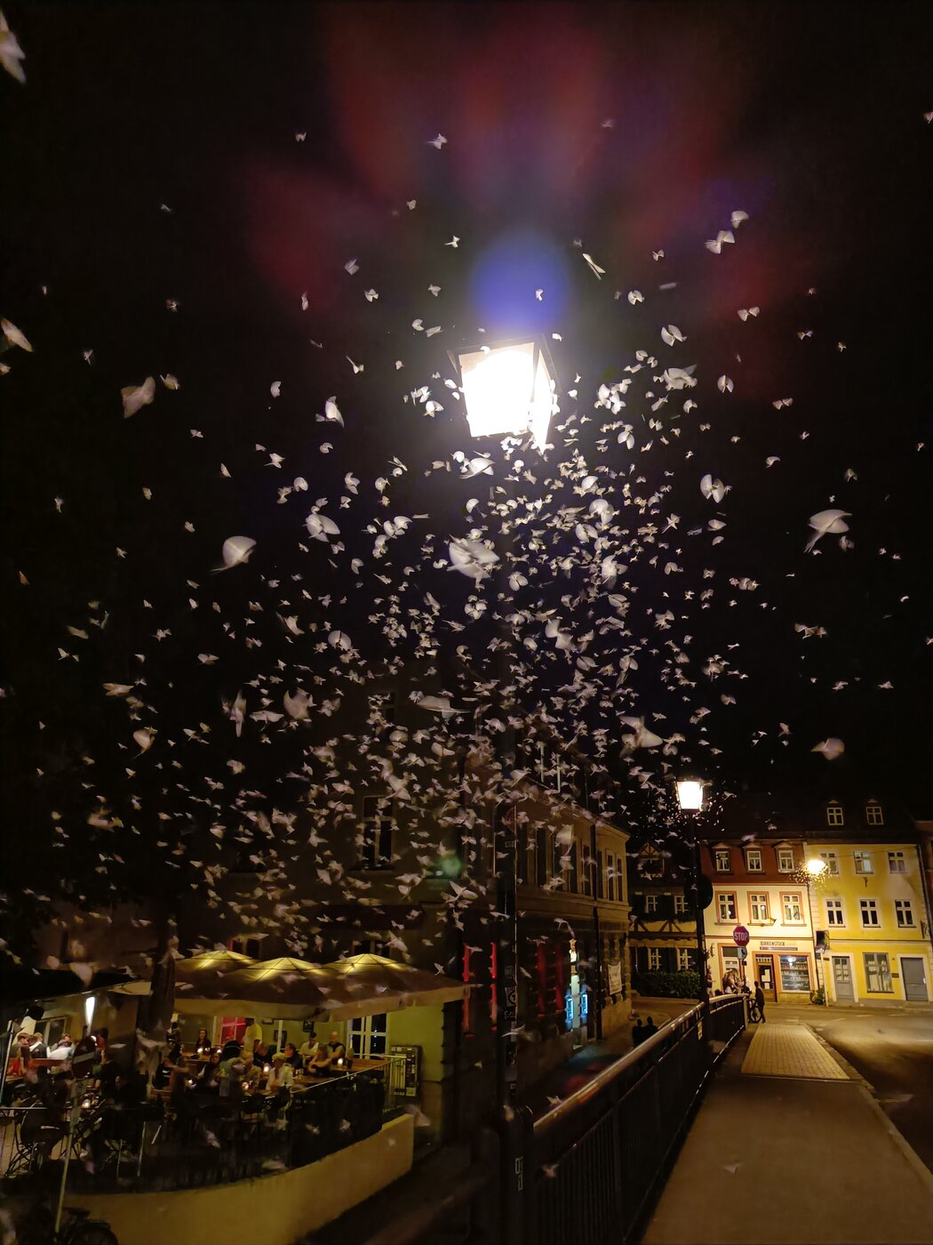 IMG20220806221117.jpg
