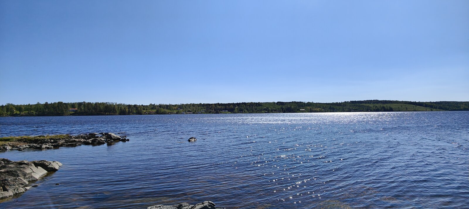 IMG20250515101913.jpg