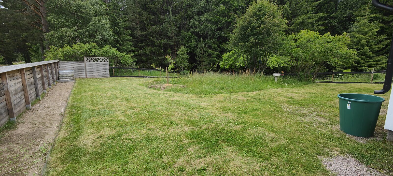 IMG20250622182721.jpg