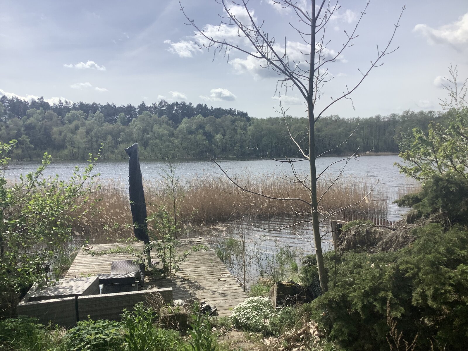 IMG_0246.jpeg