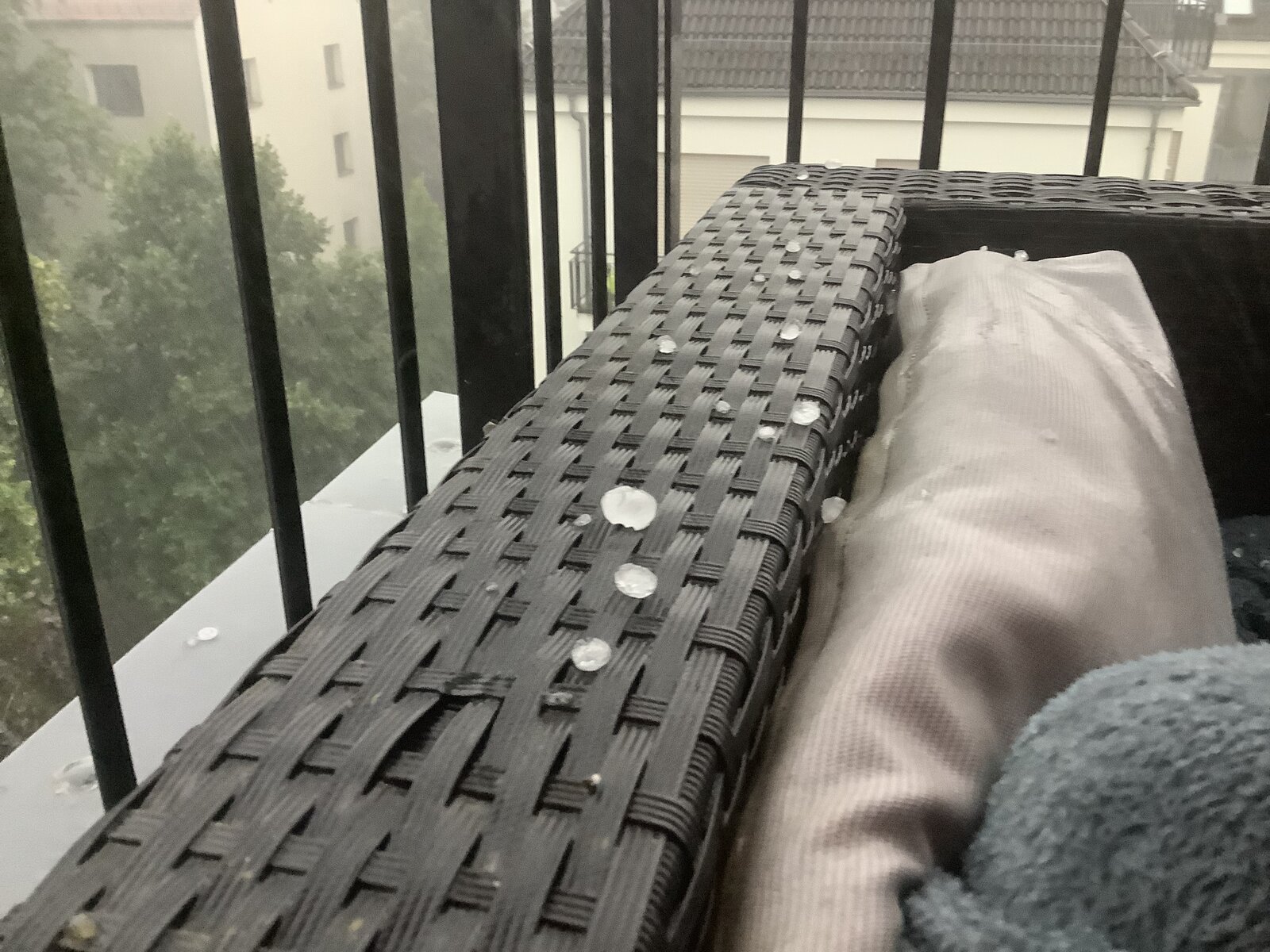IMG_0248.jpeg