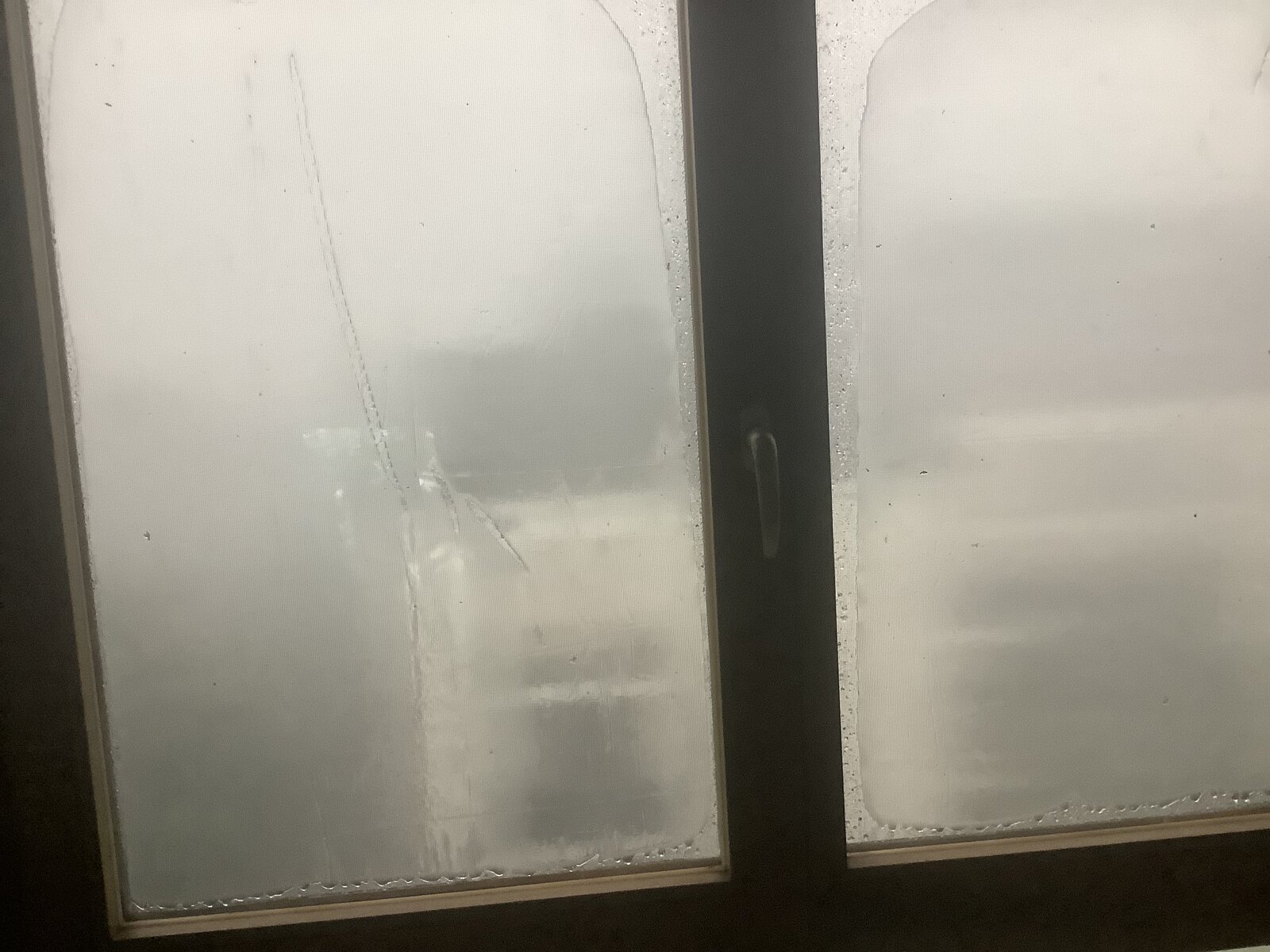 IMG_0249.jpeg