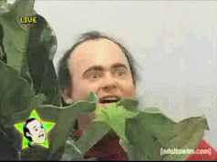 IMG_1155.GIF