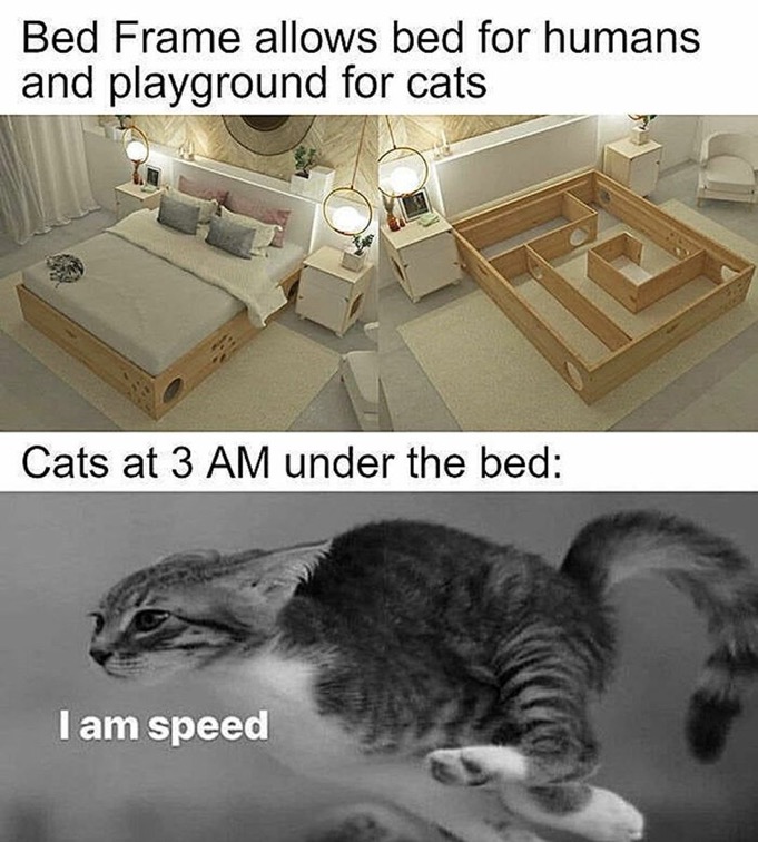 IMG_1158.jpeg