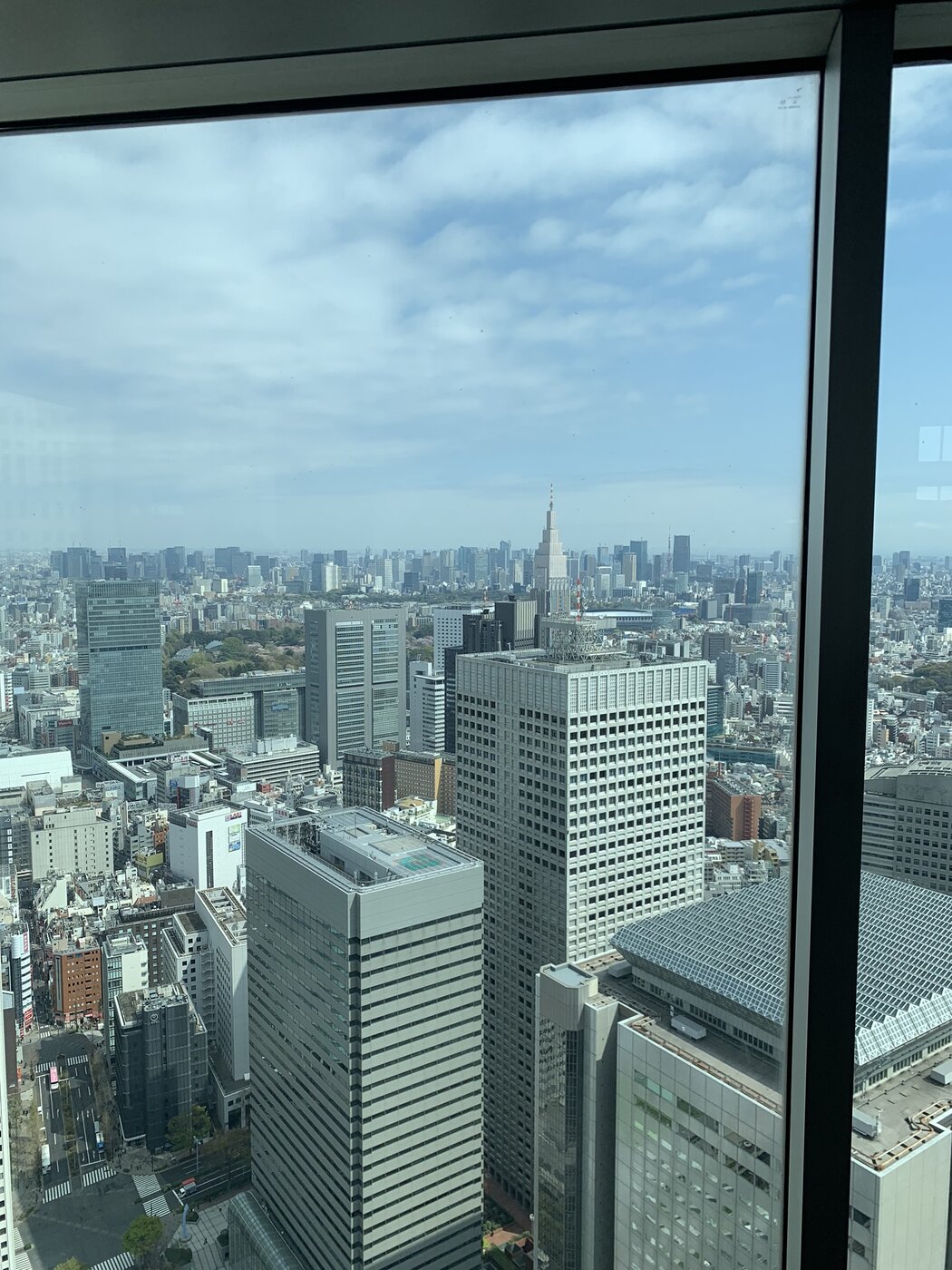 IMG_1987.JPEG