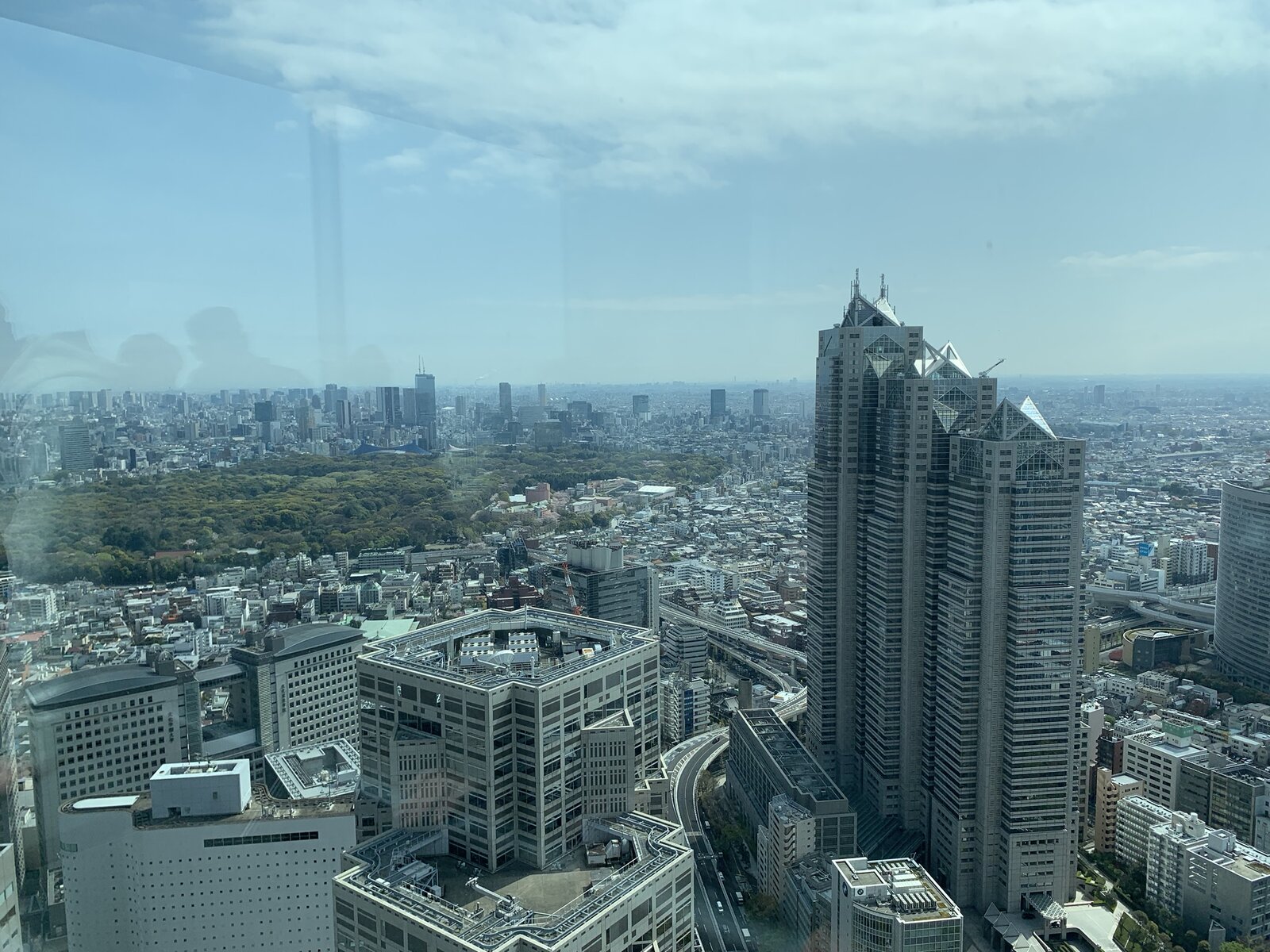 IMG_1988.JPEG