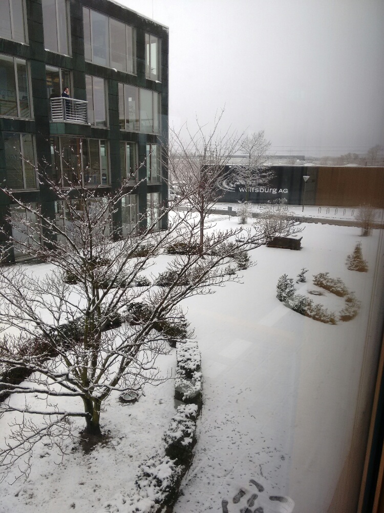 IMG_20160115_114146.jpg