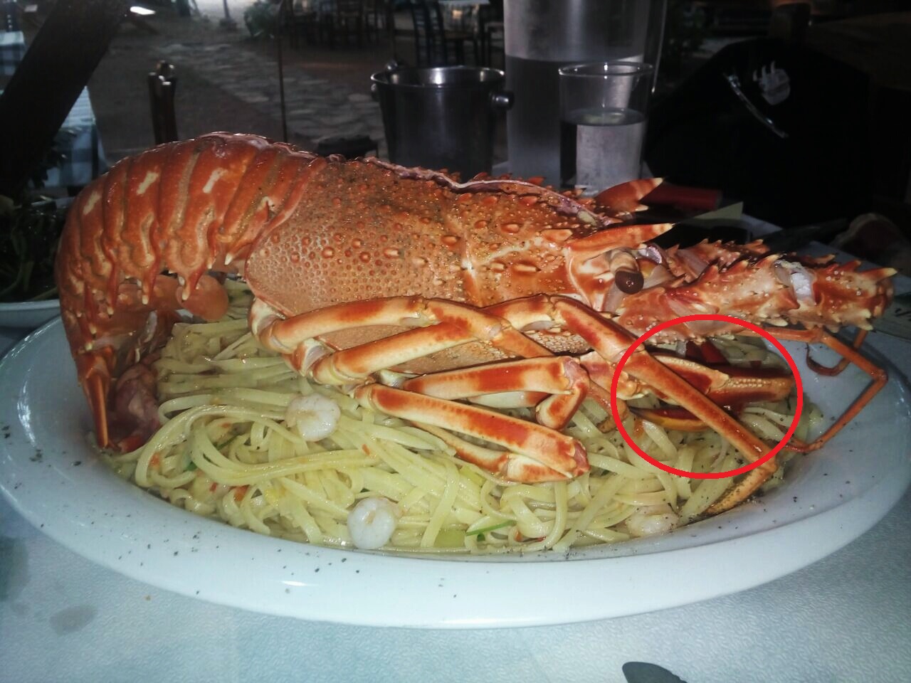 IMG_20170715_164003.jpg