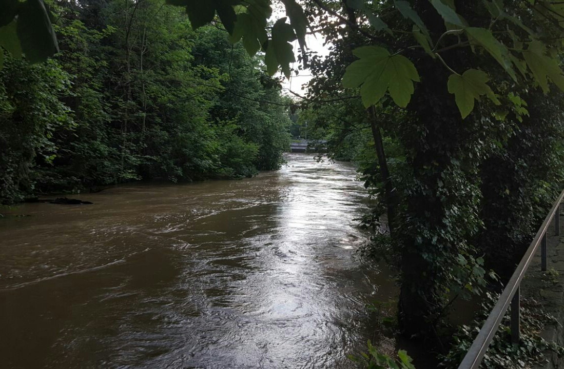 IMG_20170728_080844.jpg