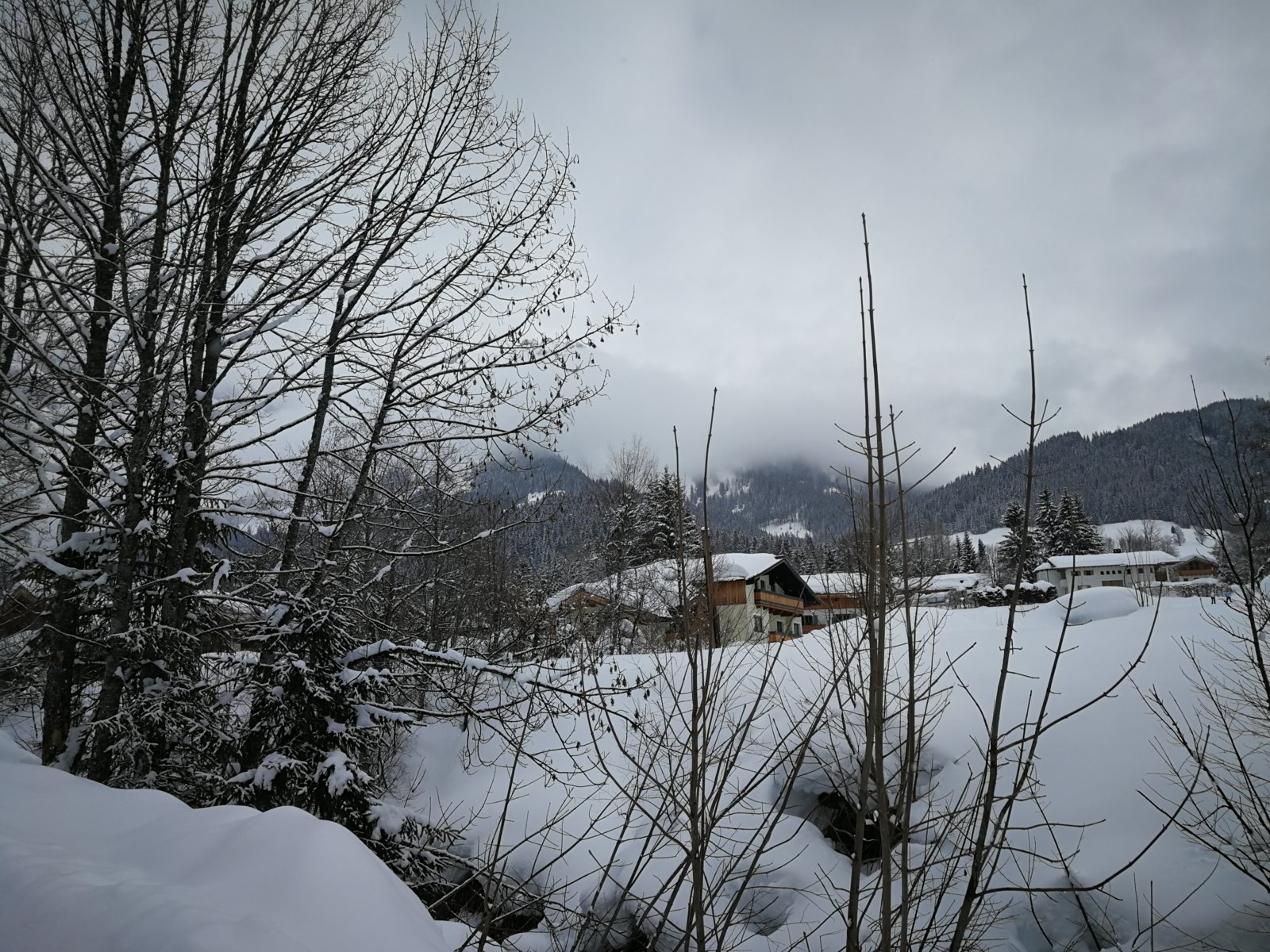 IMG_20180207_123217.jpg