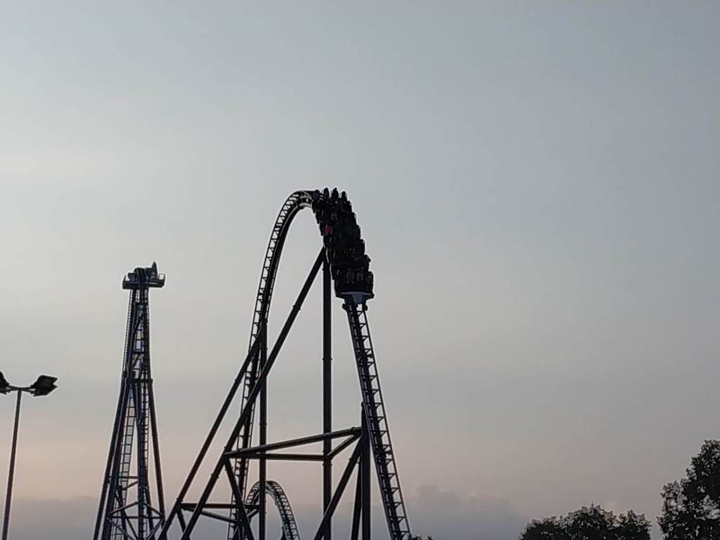 IMG_20180908_181347_BURST17.jpg